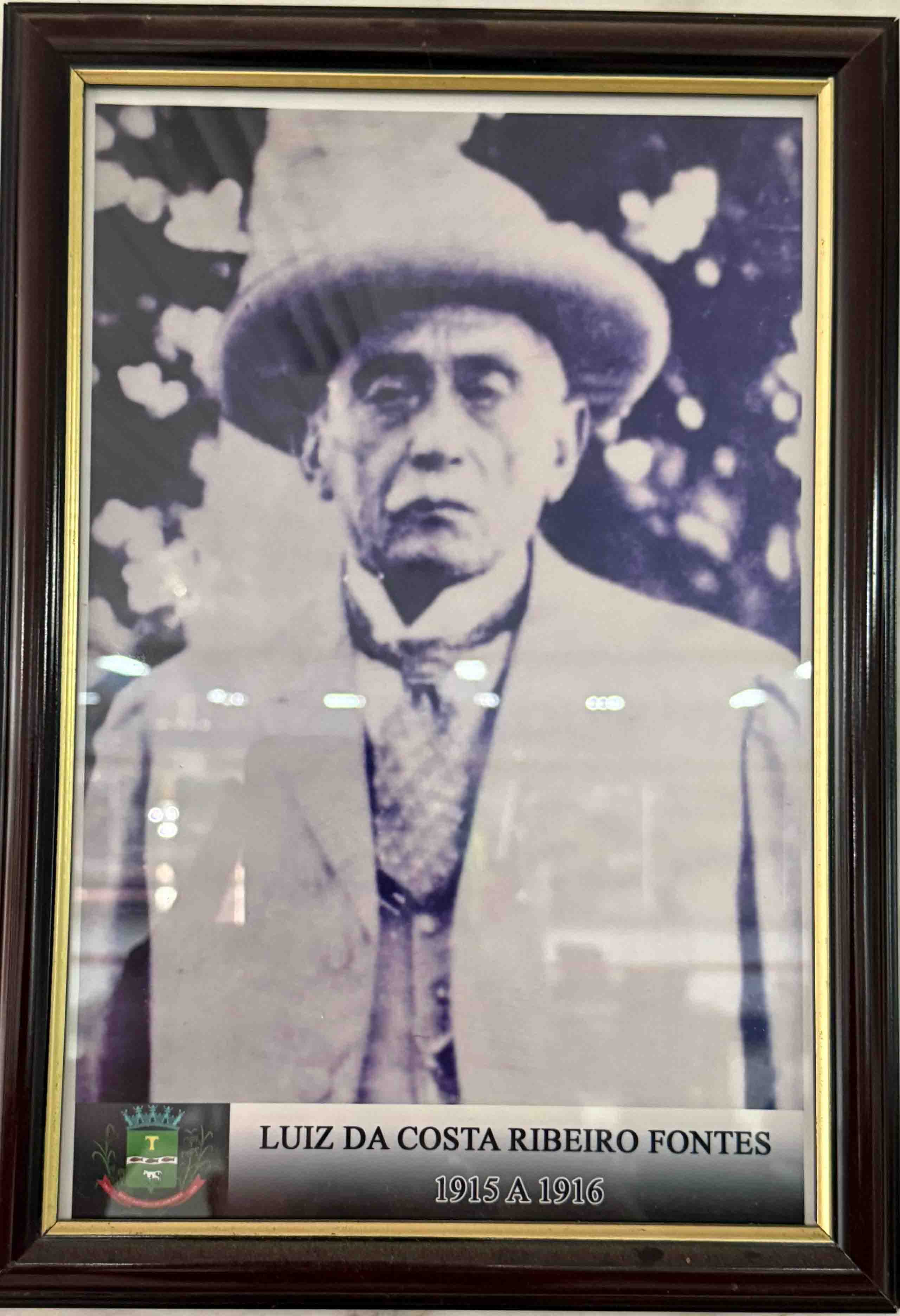 Luiz da Costa Ribeiro Fontes